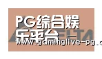 PG下载合作伙伴六