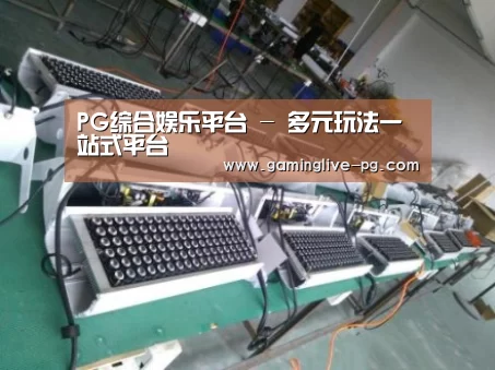 PG下载案例展示一