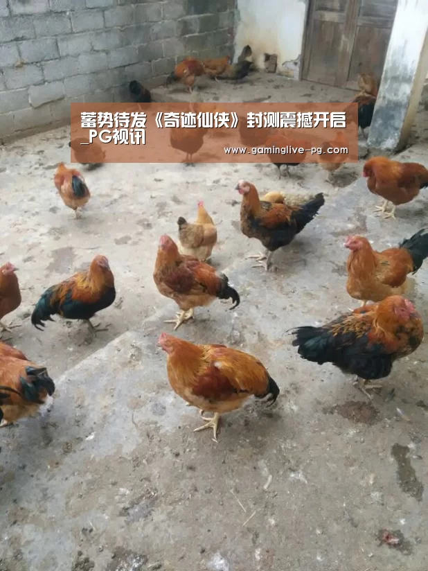 PG亚洲体育