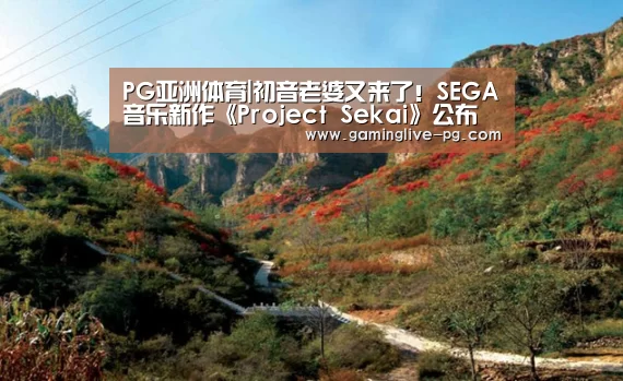 PG亚洲体育|初音老婆又来了!SEGA音乐新作《Project Sekai》公布(图3) PG平台