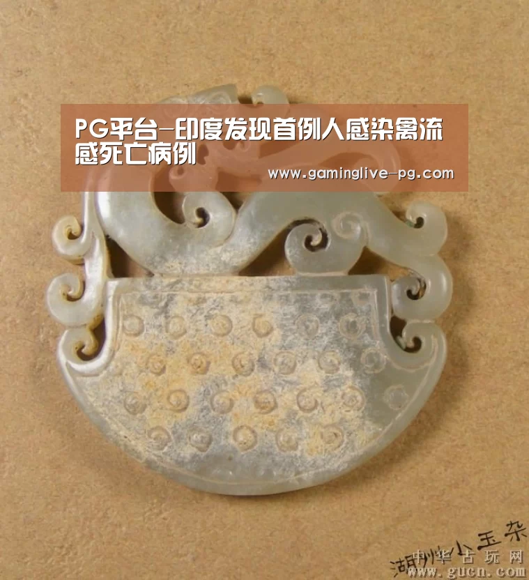 PG平台-印度发现首例人感染禽流感死亡病例(图3) PG亚洲体育