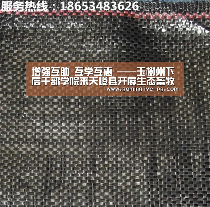 PG下载