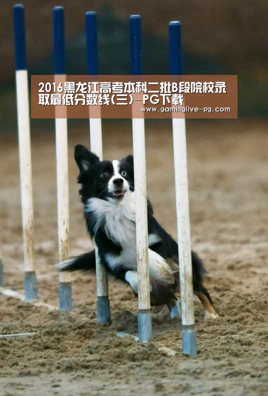 2016黑龙江高考本科二批B段院校录取最低分数线(三)-PG下载(图1) PG亚洲体育