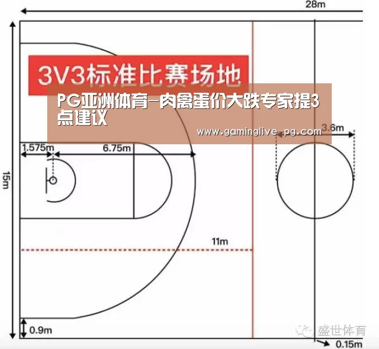 PG亚洲体育-肉禽蛋价大跌专家提3点建议(图1) PG平台