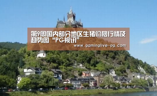 PG亚洲体育