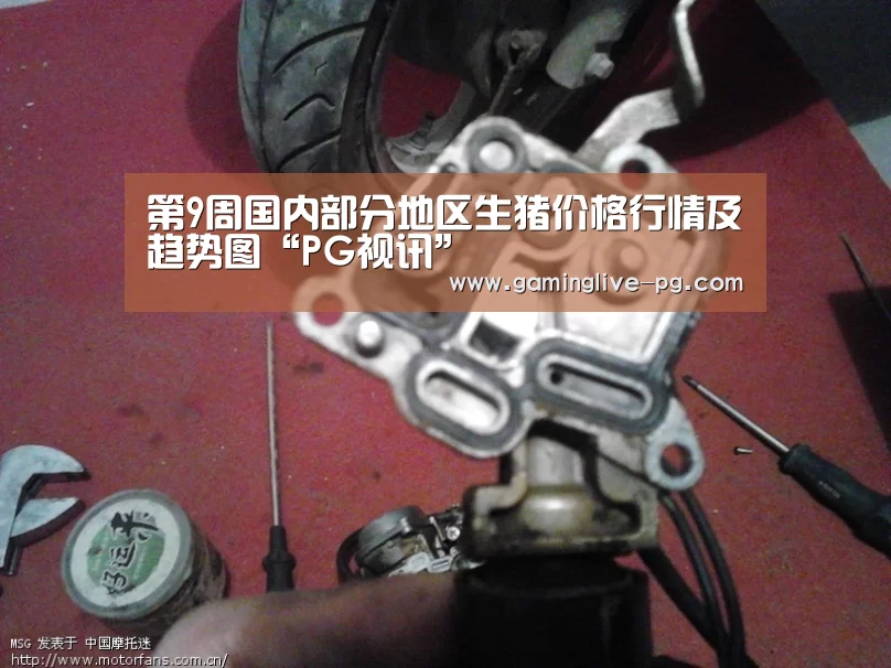 PG亚洲体育