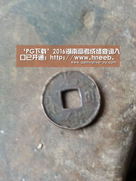 ‘PG下载’2016湖南高考成绩查询入口已开通:http://www.hneeb.cn/website/gk_cx_gk.asp(图2) PG平台